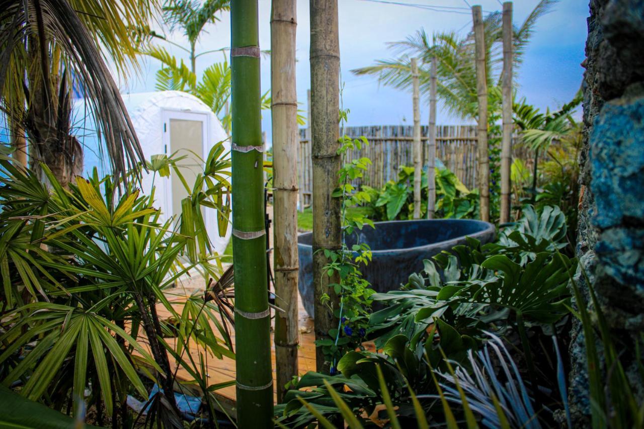 Green Land Bubble Glamping Cabarete Esterno foto