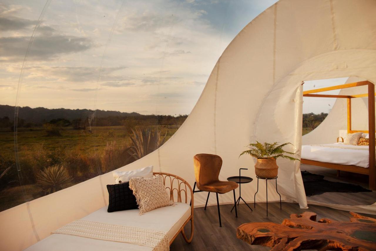 Green Land Bubble Glamping Cabarete Esterno foto