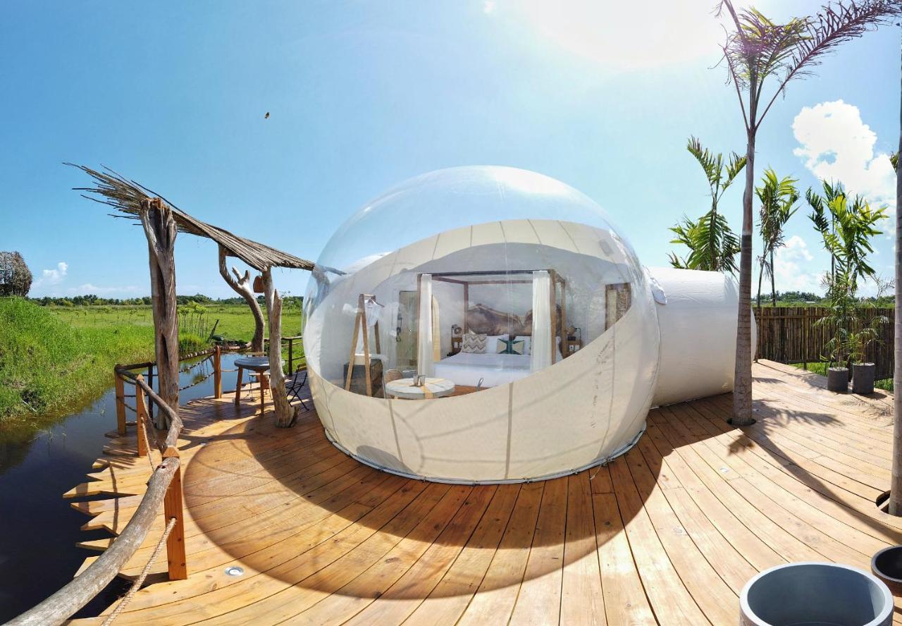 Green Land Bubble Glamping Cabarete Esterno foto