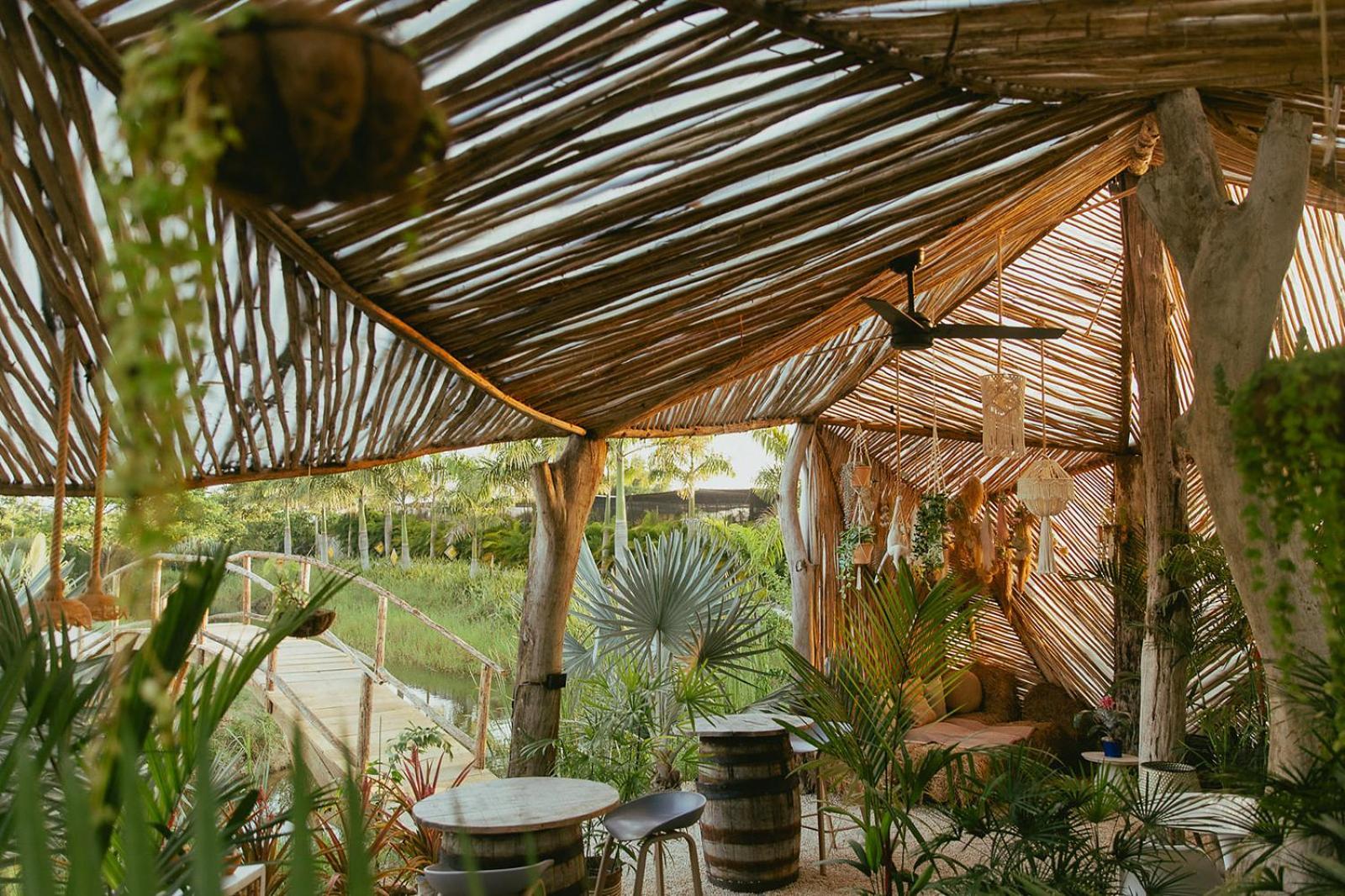 Green Land Bubble Glamping Cabarete Esterno foto
