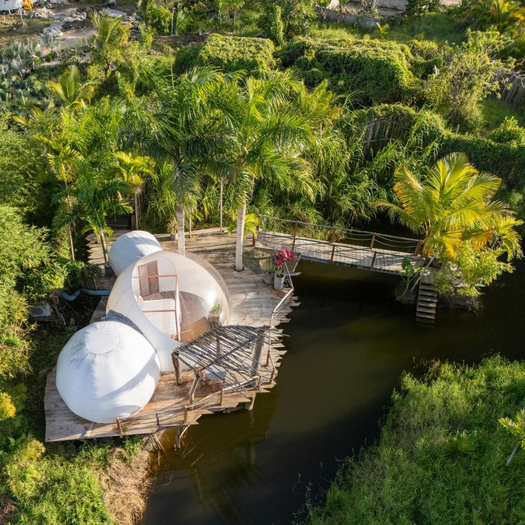 Green Land Bubble Glamping Cabarete Esterno foto